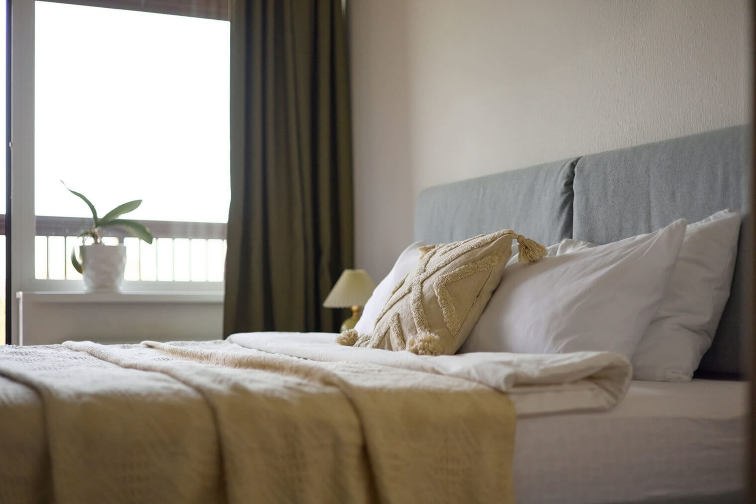 one bedroom apartments dc